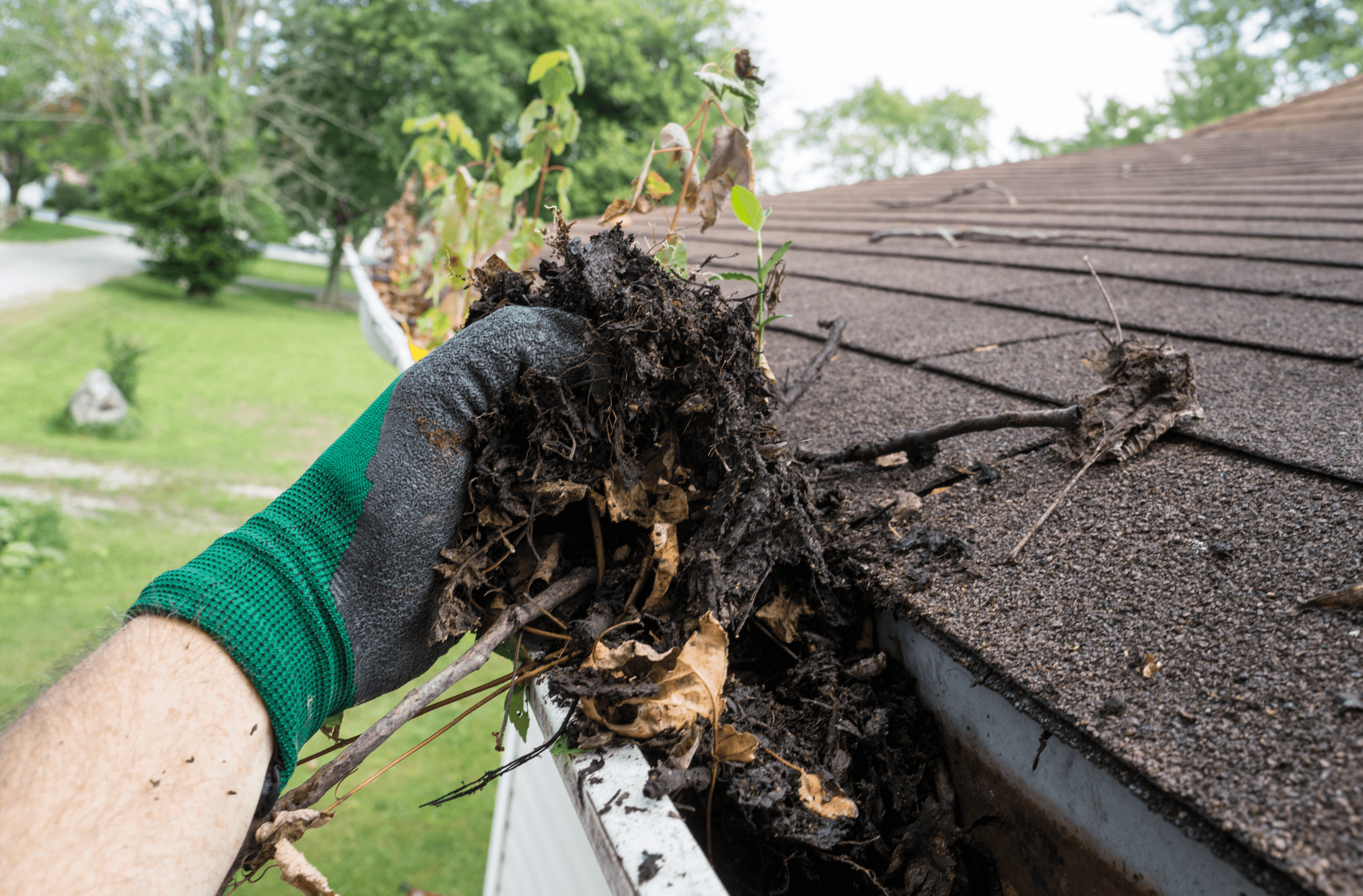Gutter cleaning in Adelaide